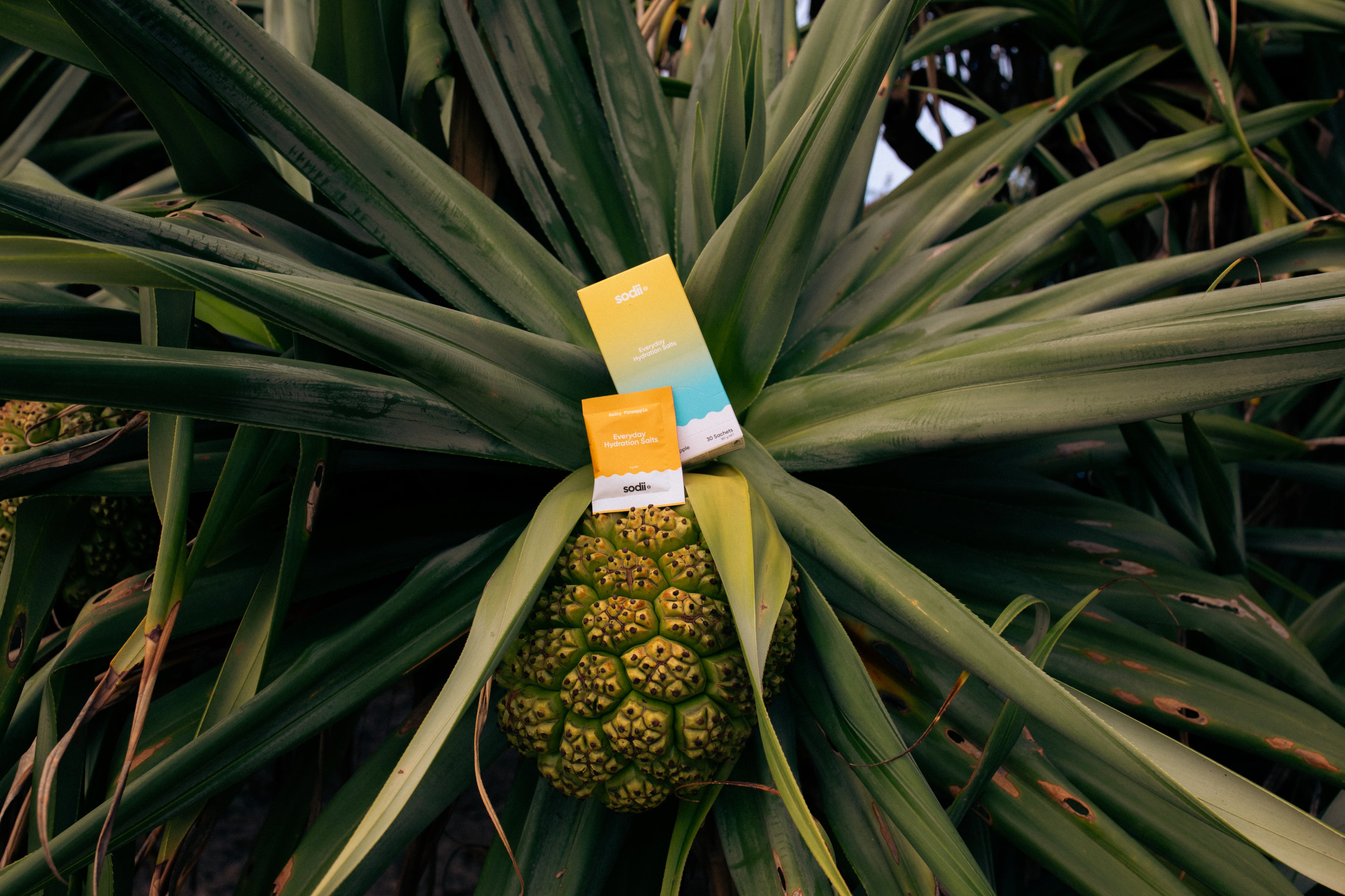 Sodii Everyday Hydration Salts - Salty Pineapple