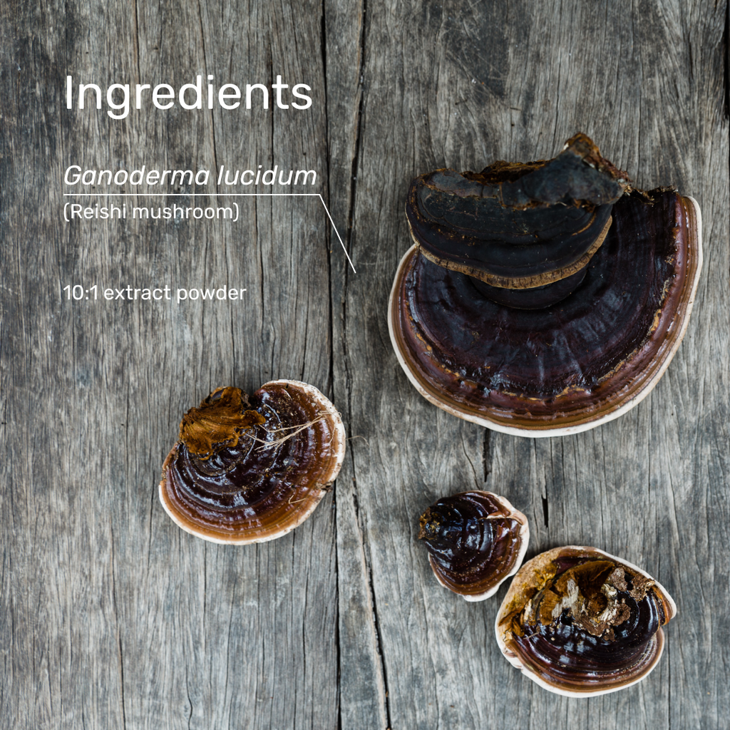 Superfeast Reishi 100g