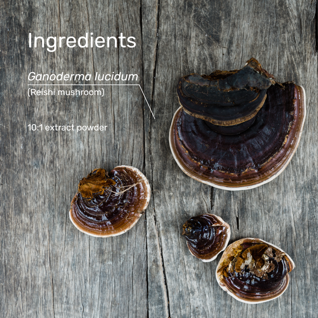Superfeast Reishi 100g