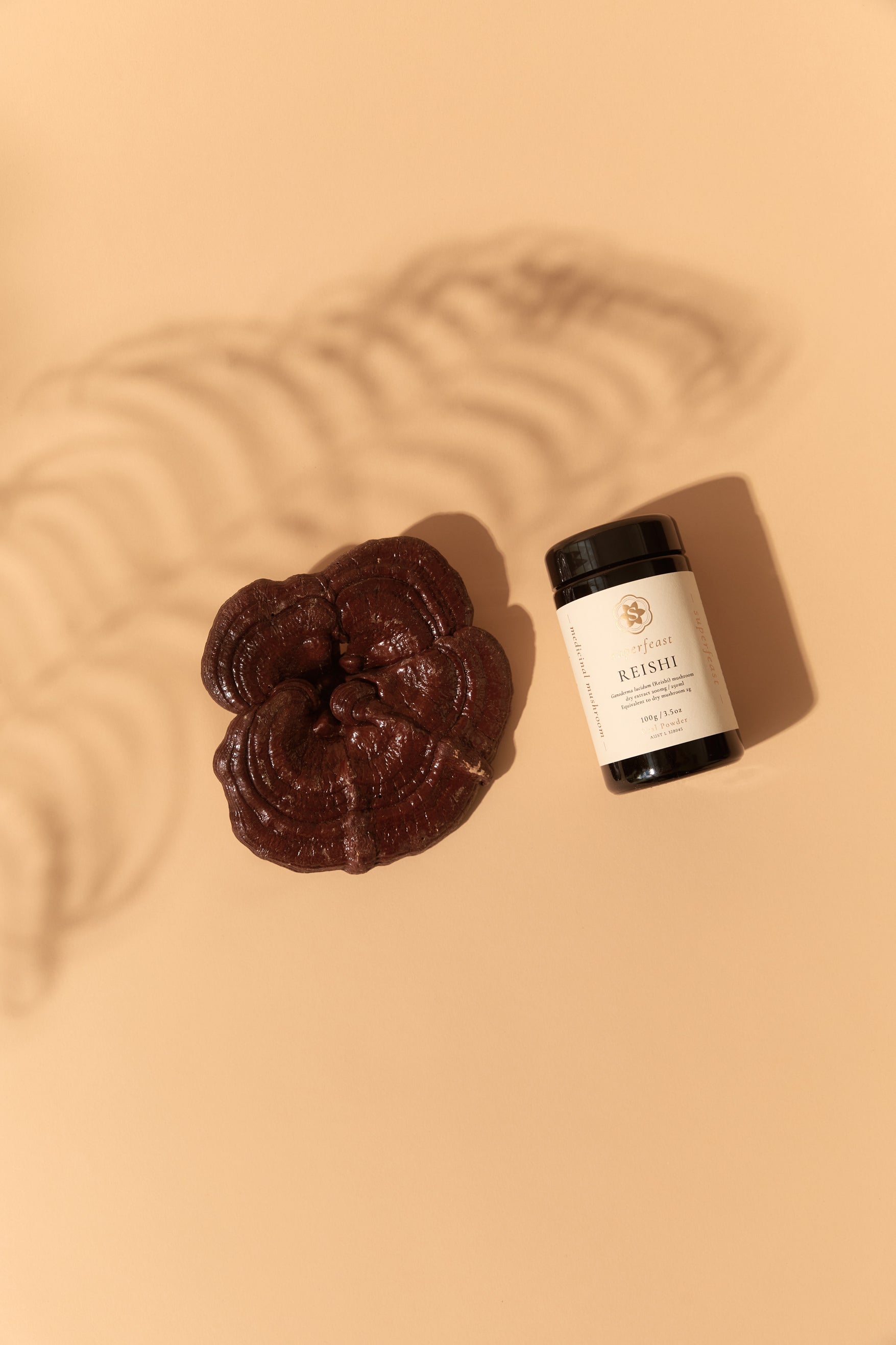 Superfeast Reishi 100g